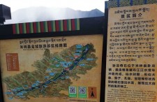 米林县卧龙奇石