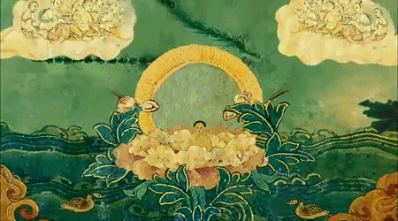 6.gif
